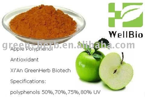 Polyphenol /  Antioxidant