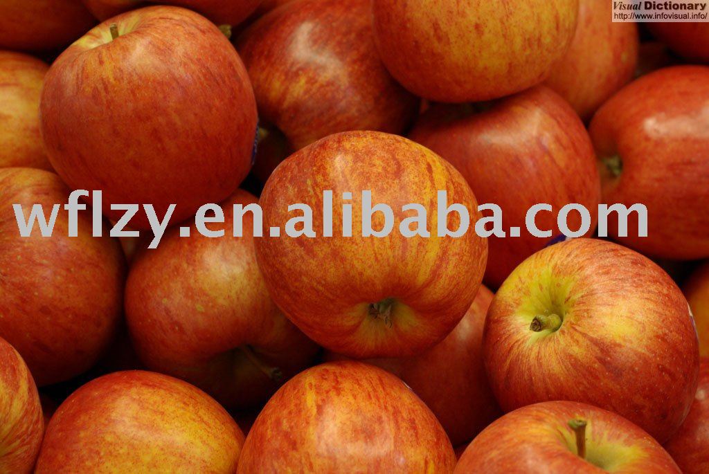 fresh gala apple