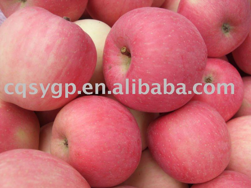 red fuji apple