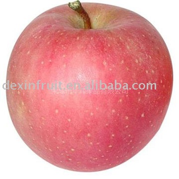 Yantai Fuji Apple