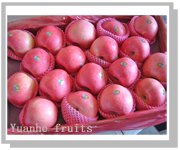 fuji apple