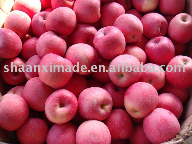 fresh Fuji apple