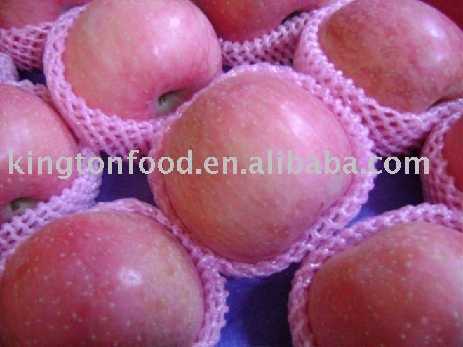 2010  China new fuji apple
