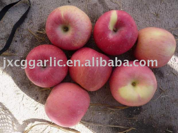 Red fuji apple