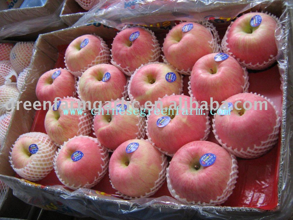 Red Fuji Apple