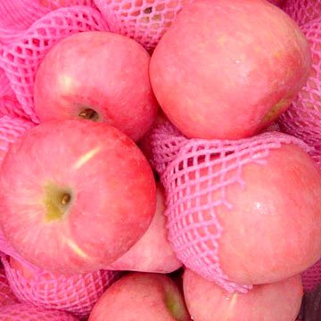 Fuji Apple