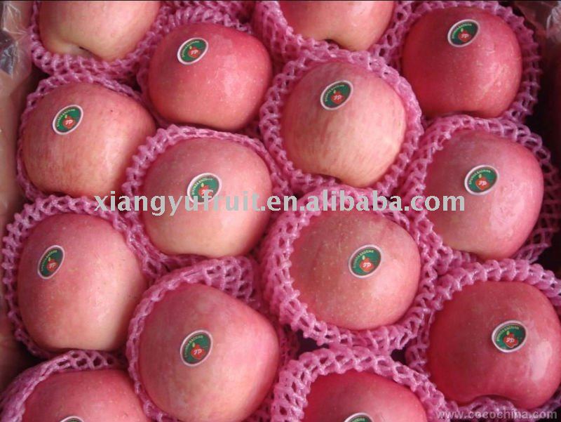 red fuji fresh apples