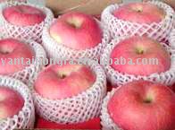 fresh fuji apples