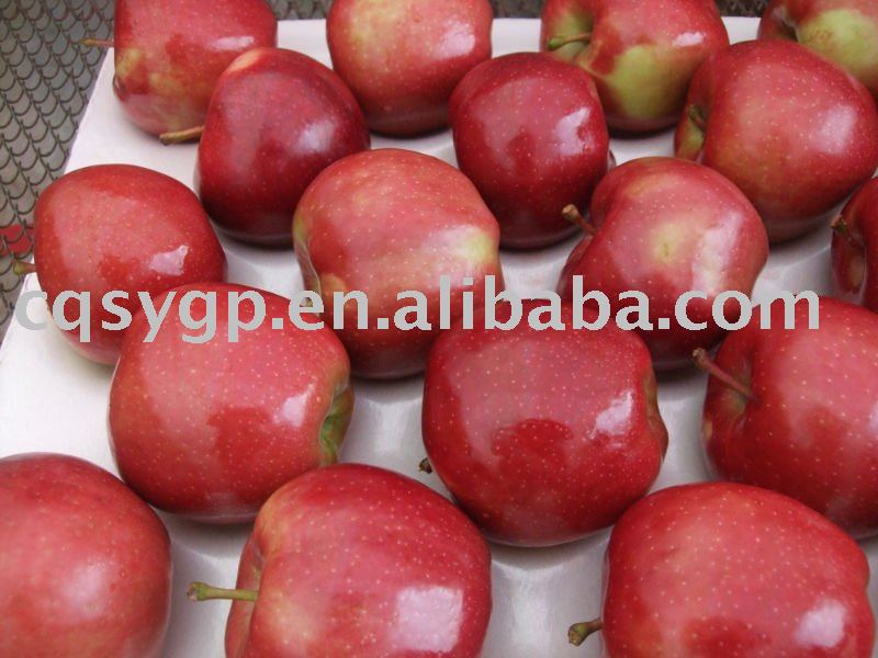 chinese red huaniu apple