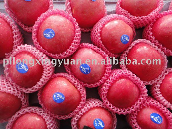 TOP RED FUJI APPLE