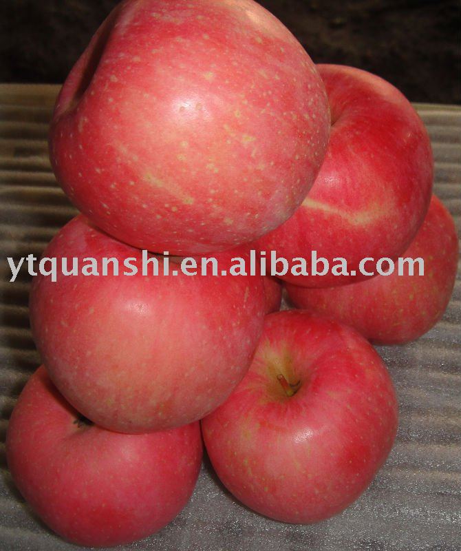 2010 Top Fresh Fuji Apple