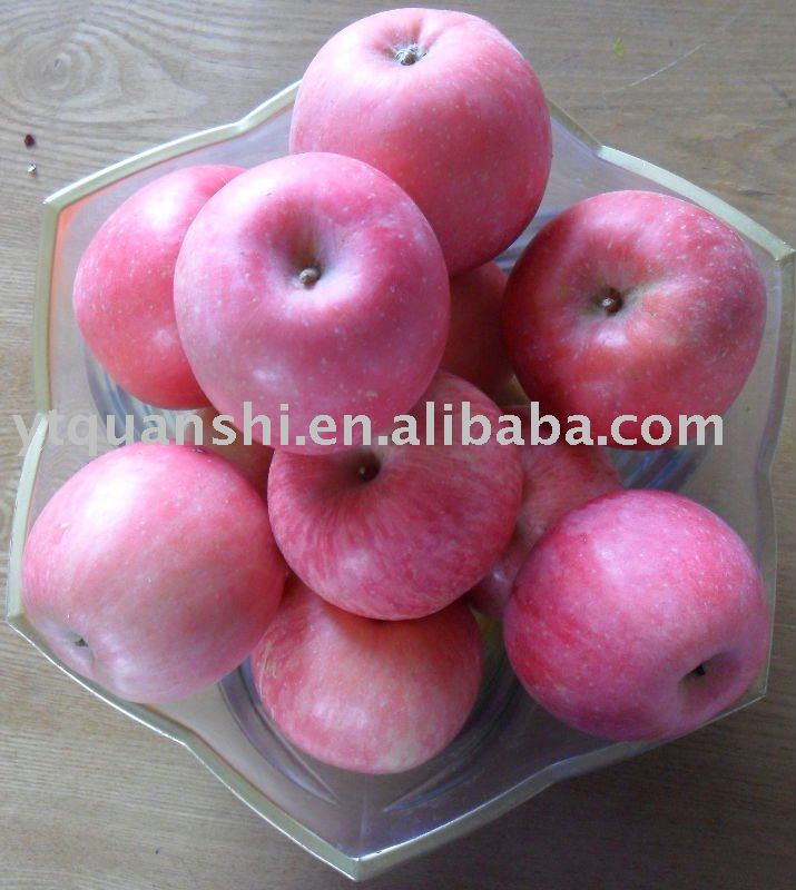 2010 fresh fuji apple