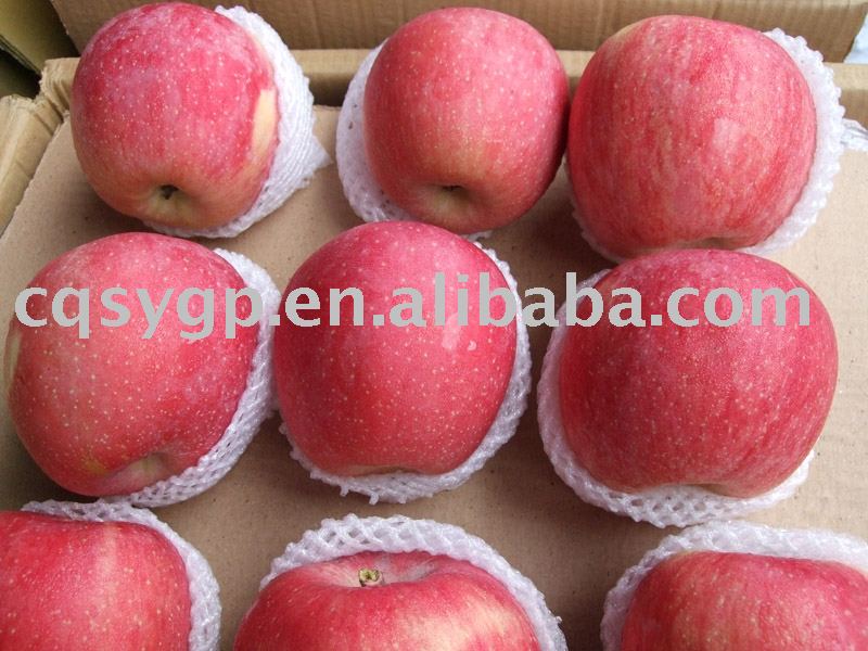 fuji apple