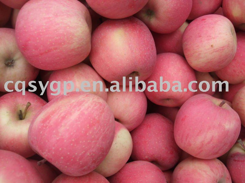 chinese red fuji apple