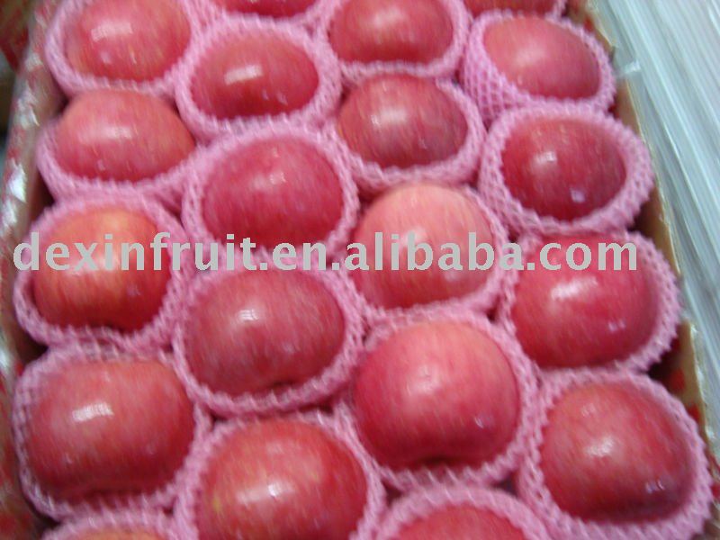 Red Fuji Apple