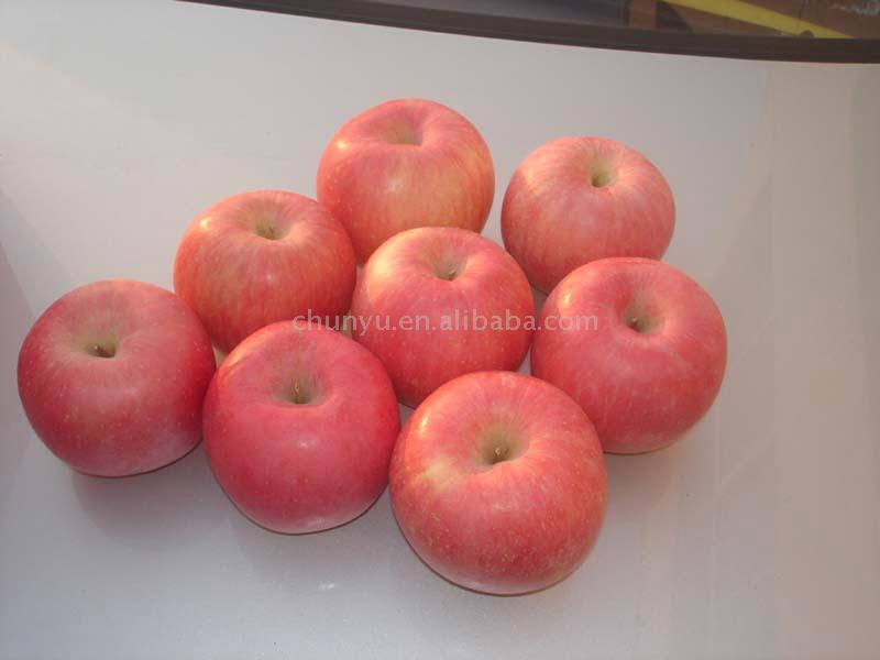 Shandong  fresh   red   fuji   apple