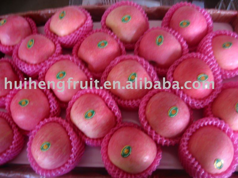 Chinese fresh red fuji apple