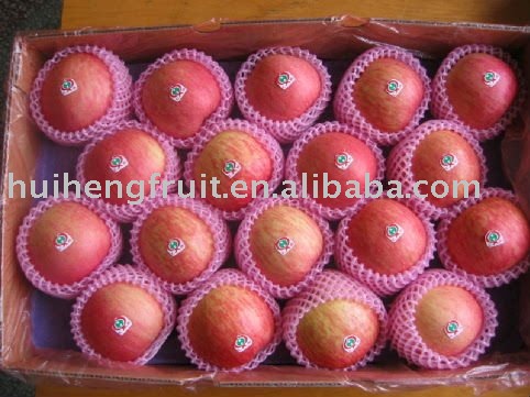 Chinese red fuji apple