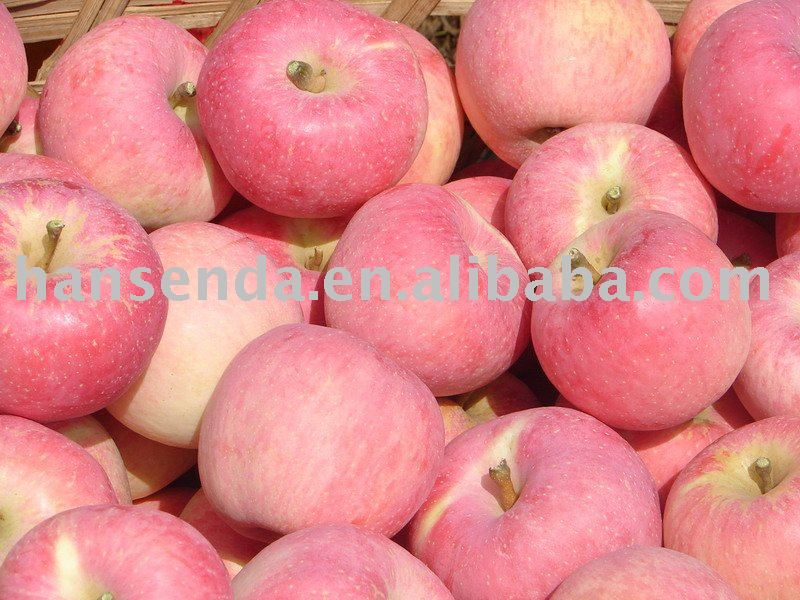 Red Fuji apple