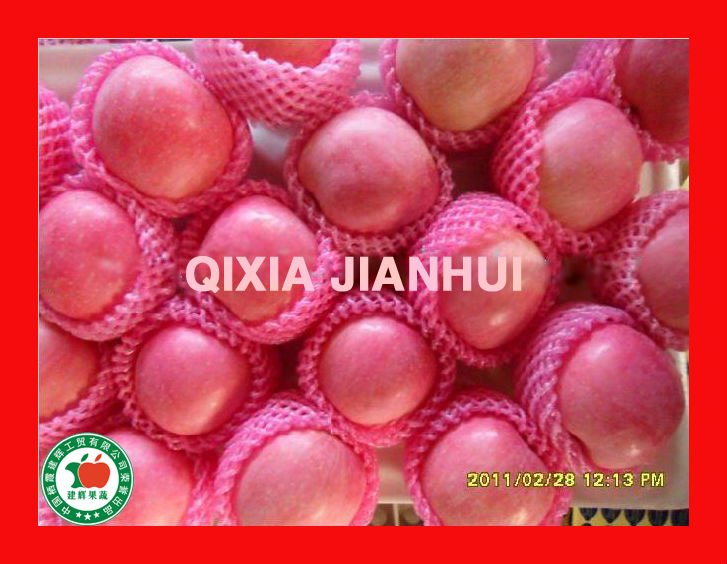 Yantai fresh red Apples of stripe and blush red colour