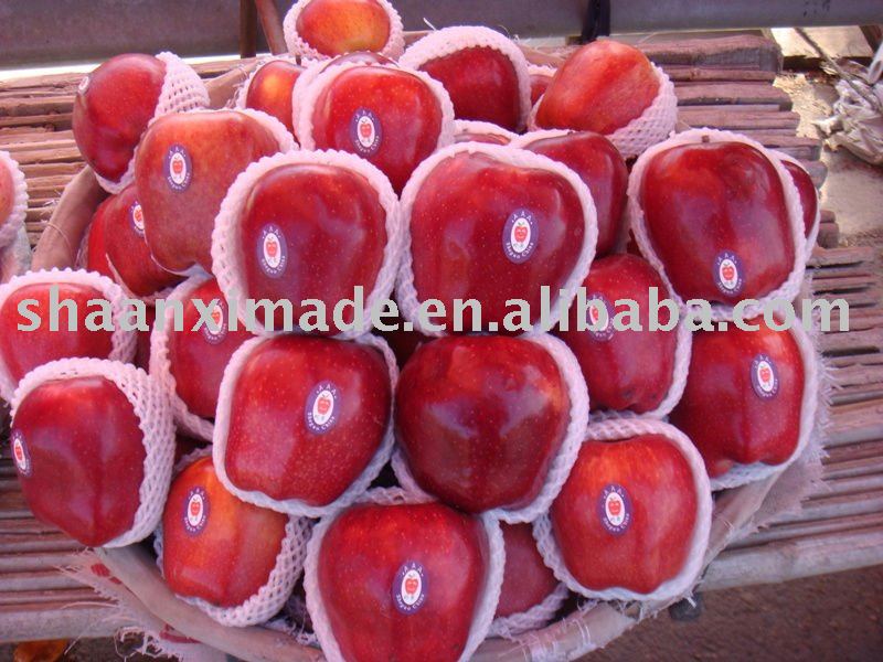 red dark apple