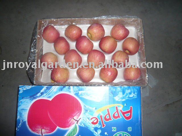 Chinese new crop Fuji apple