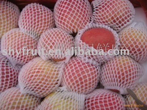 Grade 1 Fuji apple(TOP SALE!!!)