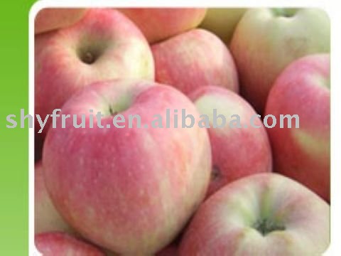Fresh red Fuji apple (HOT!!!)