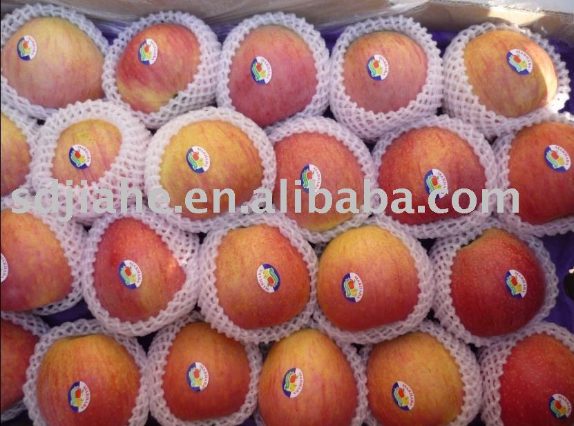 red gala apple