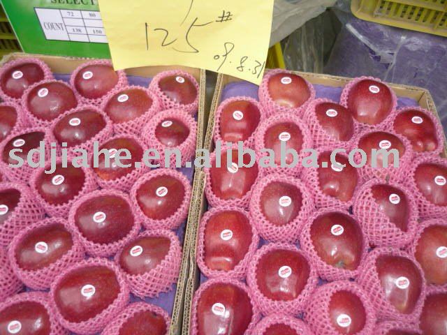 red  apple