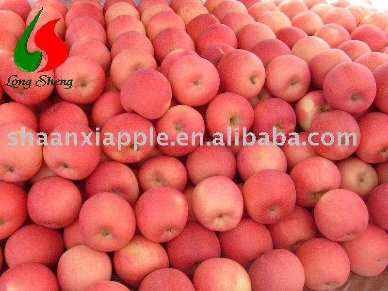 sales chinese red bagged gala apple