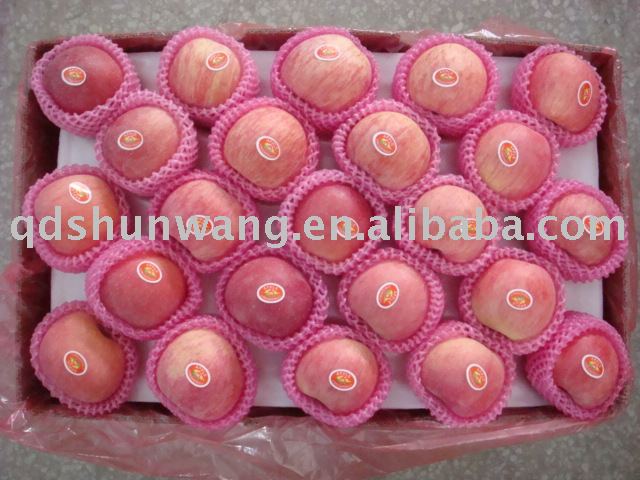 2011 yantai fresh red fuji apple