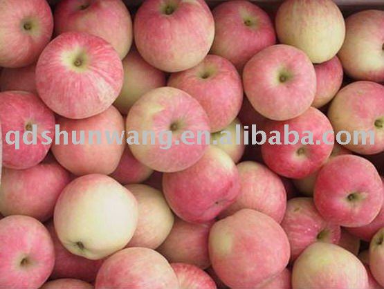Class A red gala  apple