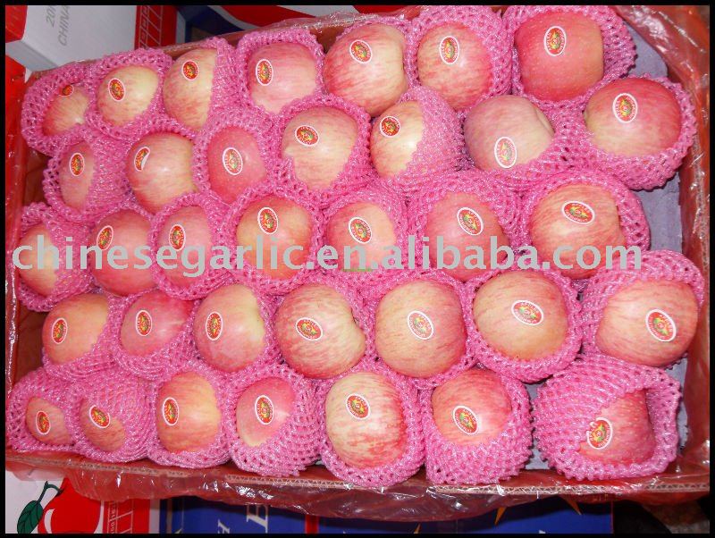 2011 chinese freshGrade A  fuji apple