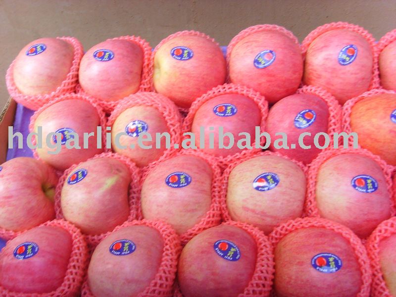 Fresh red  Apple with best price