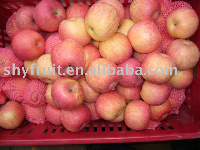 supply shaanxi  plastic  bag fuji apple