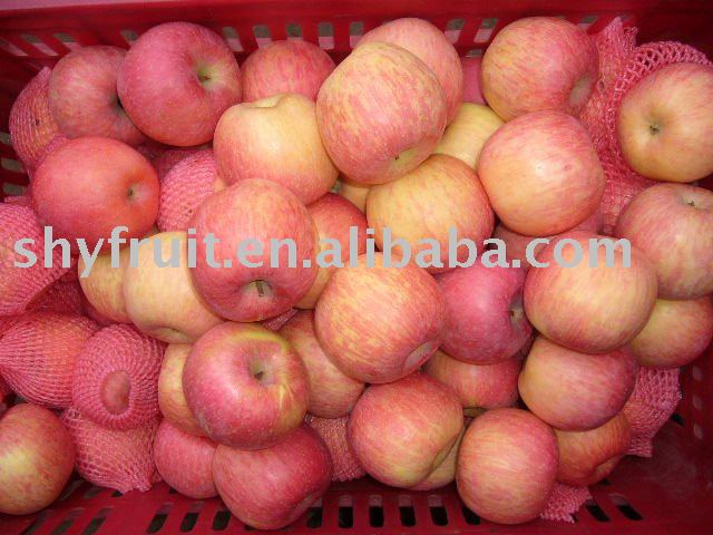 shaanxi plastic bag fuji apple