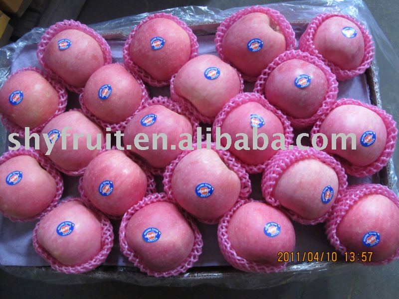 shaanxi apple