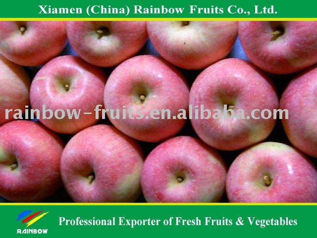  Shaanxi   Fuji   Apple 