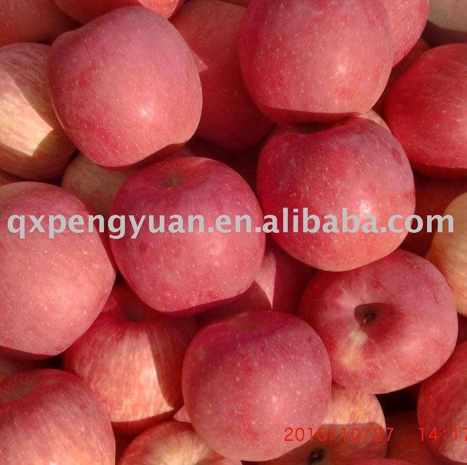 2011 fresh fuji apple