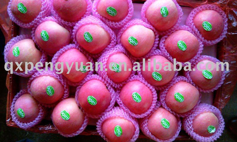2011 red fuji apple fruit