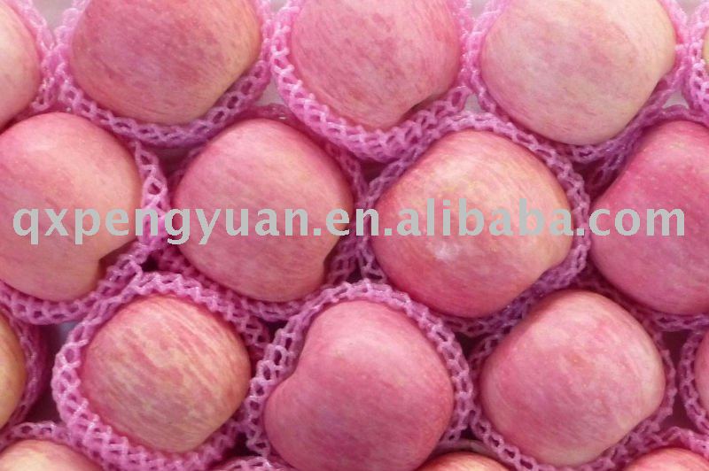 2011 red fuji apple