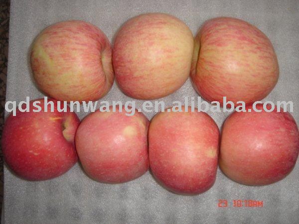 top class chinese red fuji apple
