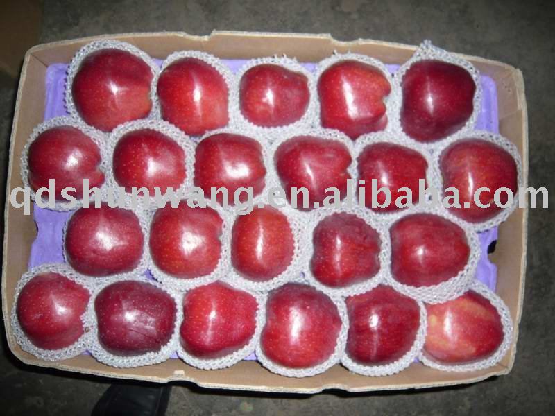 top A fresh red hua niu  apple