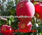 Shandong fresh Fuji Apple