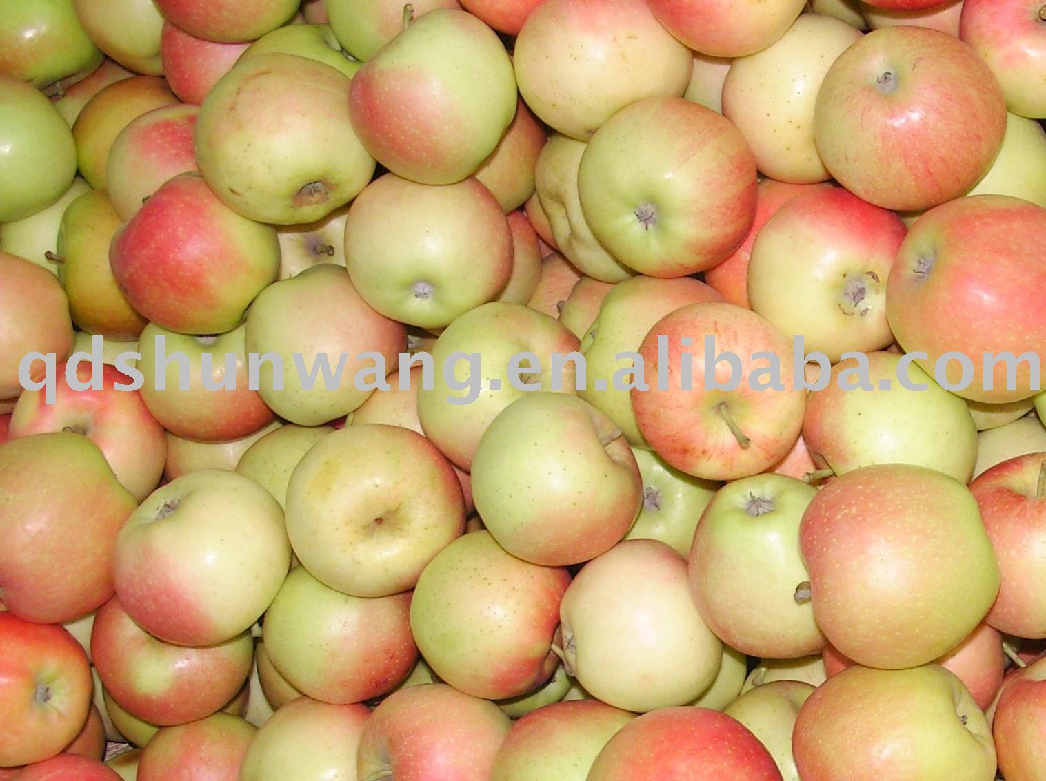  fresh   red   gala    apple 