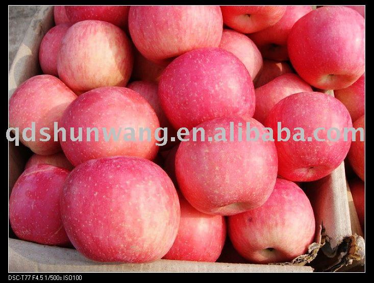 chinese fuji apple (fresh, red, sweet)