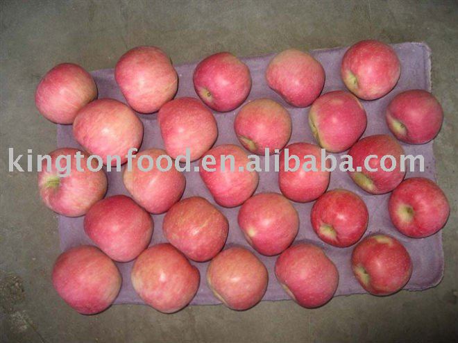 chinese yantai  fuji apple
