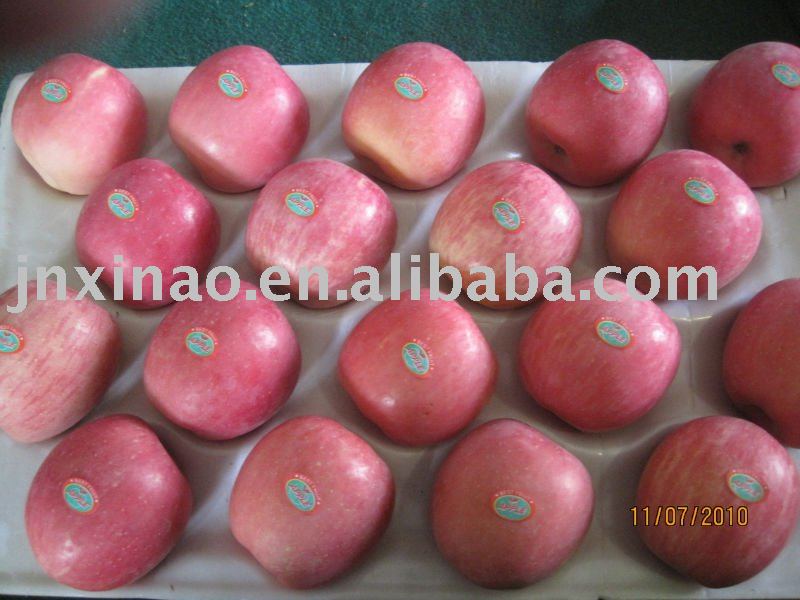2010 Chinese fresh yantai fuji delicious big apple