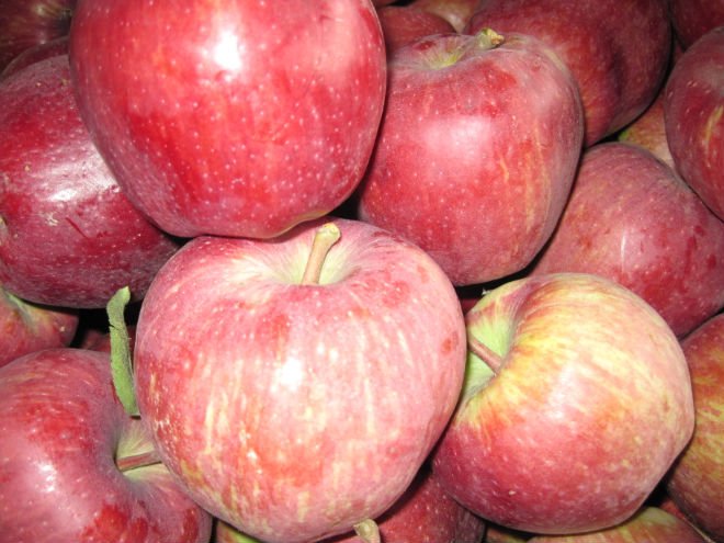 2010 Chinese fresh yantai delicious big apple